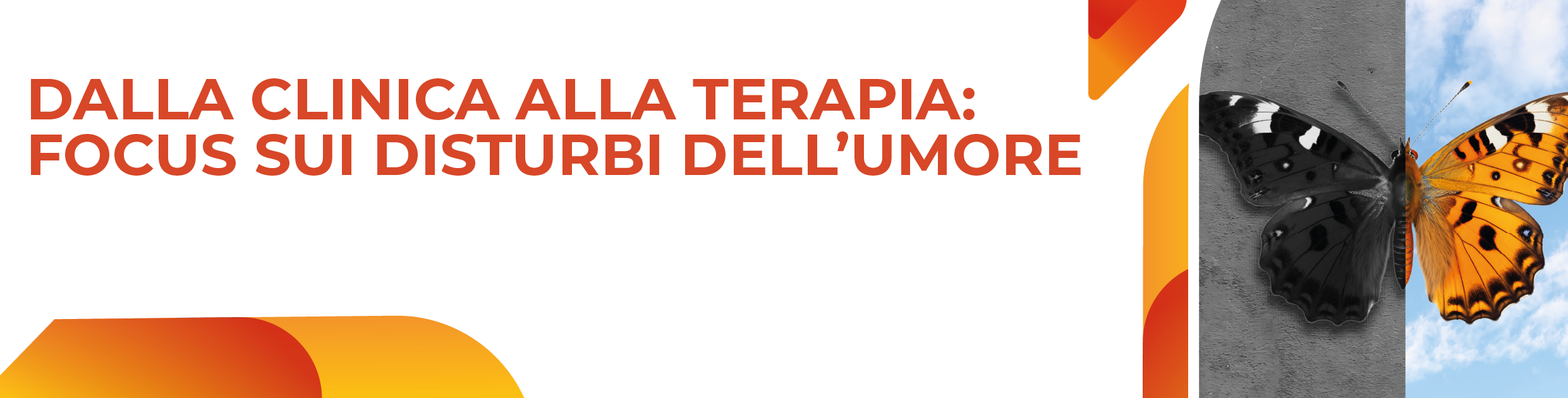 Banner SPDC